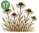 10-1784066964355.webp