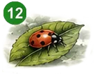 16-1784067347928.webp