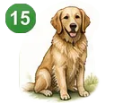 17-1784067159348.webp
