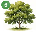 6-1784066452022.webp