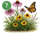 7-1784066469510.webp