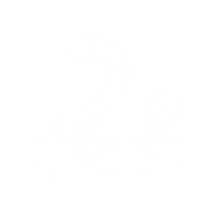 c4-1783902494971.webp