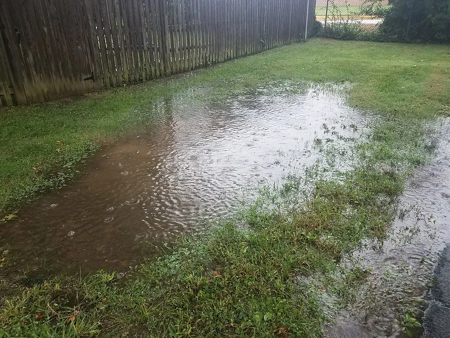getting-to-the-bottom-of-why-your-yard-is-always-flooding-1783611466329.webp