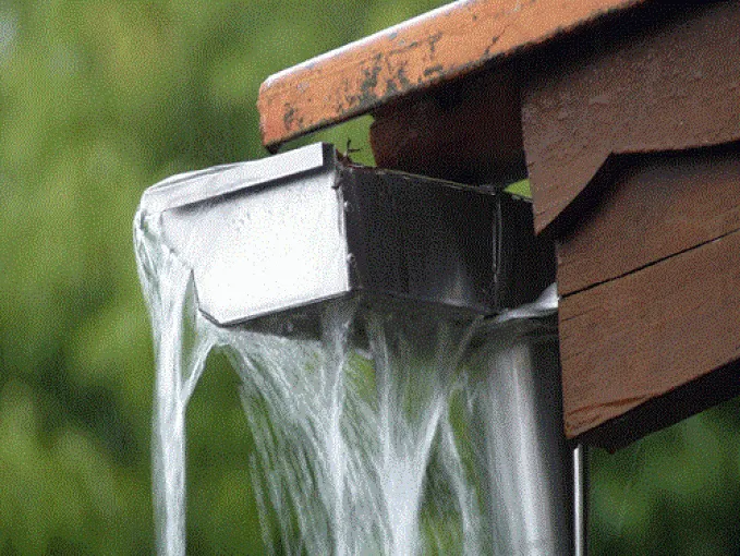 gutters-overflowing-1783611482553.webp