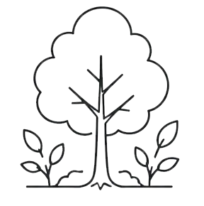 native-trees-1783610014479.webp