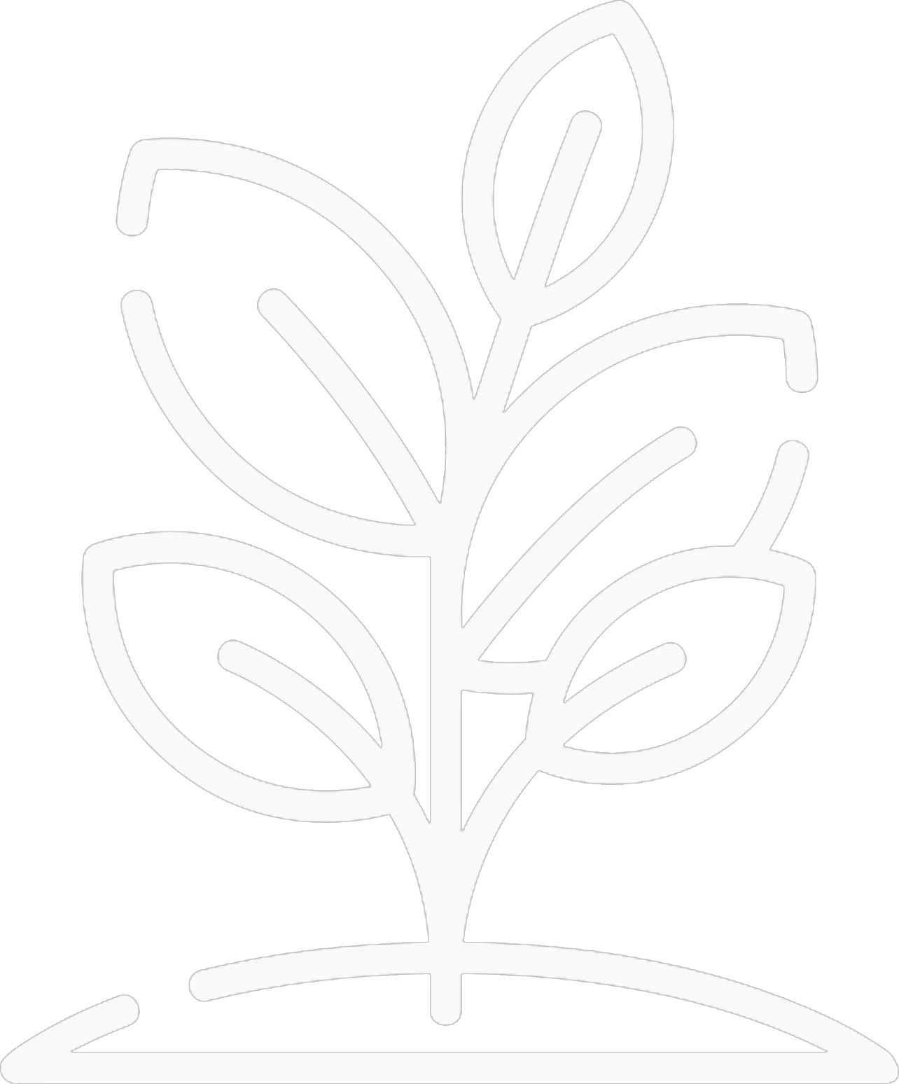 plant-white-1783565935385.webp