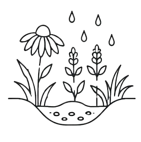 rain-garden-1783610051904.webp