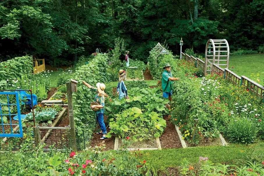 rmasey-vegetable-garden-overall-2491901-ramse-0391-2000-de885ad0dacc412e9cb8cd57d6ee7910-1783790375855.webp