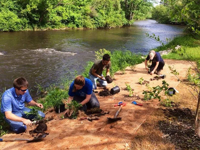 rogueriverplanting-1783701349524.webp